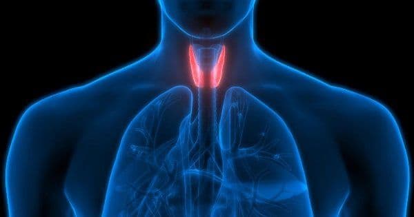 Thyroid Cancer: What is the Thyroid Gland and what are common Cancer Types?