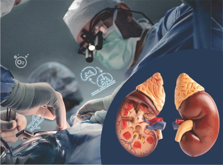 Which is Better Kidney Transplant or Dialysis?