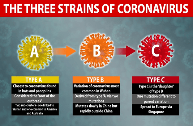Different Strains Of Coronavirus