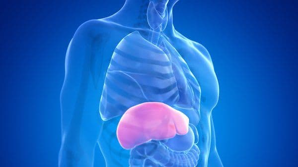An Effective Drug Combination to Treat Hepatitis C